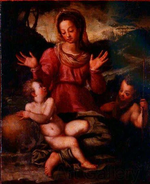 Andrea del Sarto Madonna and Child with St Norge oil painting art